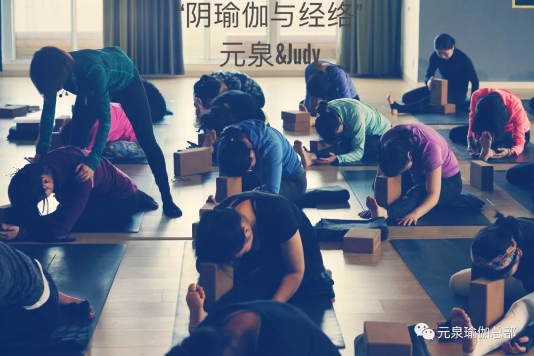 首页 新闻资讯 8 详细了解十二正经及经络与阴瑜伽的关联,主要练习